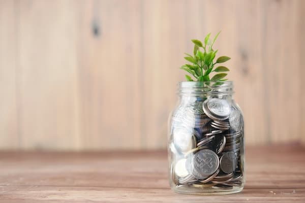 Playbook Success with your budget